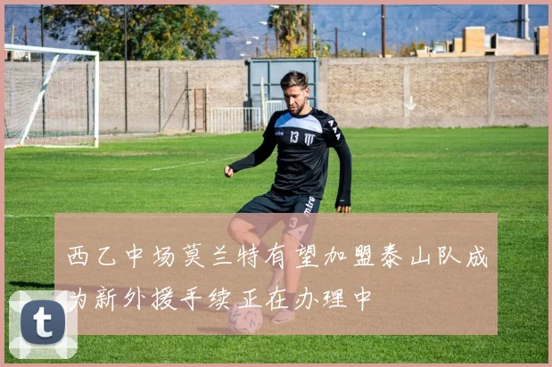 西乙中场莫兰特有望加盟泰山队成为新外援手续正在办理中