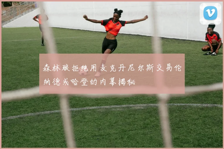 森林狼拒绝用麦克丹尼尔斯交易伦纳德或哈登的内幕揭秘